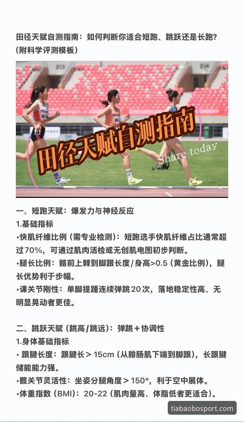 天宝博体育操作流畅实用指南：三招判断哪个版本更适合你