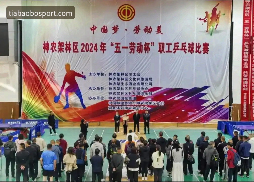天宝博体育娱乐 天宝博体育娱乐平台2024年最新动态:新手用户入门指南与真实体验分享